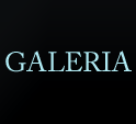 Gorgolewski Galeria